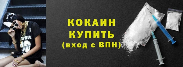 индика Богородицк