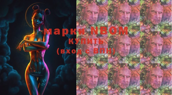 индика Богородицк