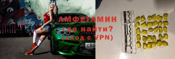 дмт Богданович