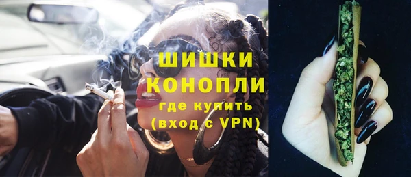 дмт Богданович