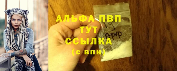 дмт Богданович