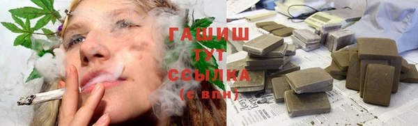 дмт Богданович