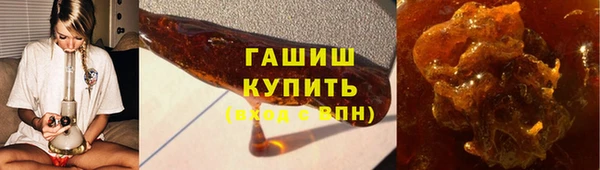 индика Богородицк
