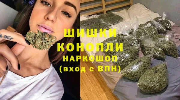 индика Богородицк
