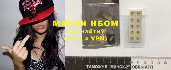 индика Богородицк