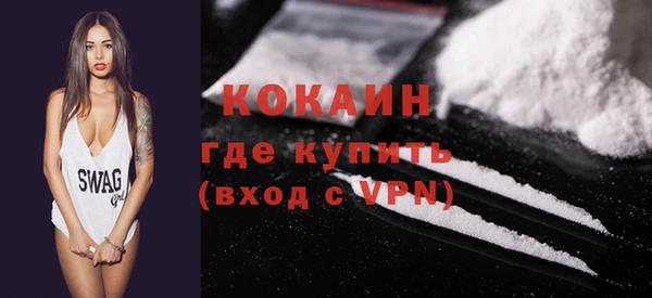 индика Богородицк