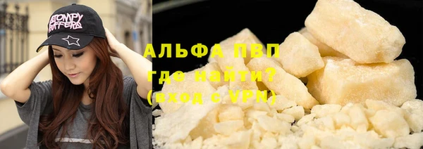 дмт Богданович