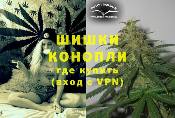 индика Богородицк