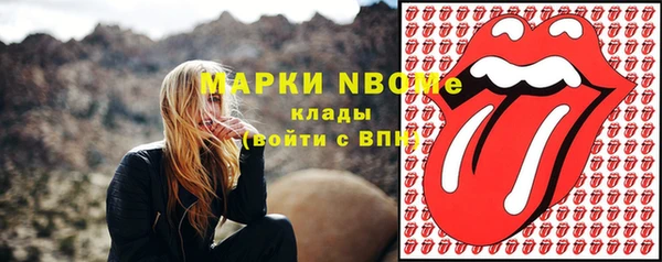 дмт Богданович