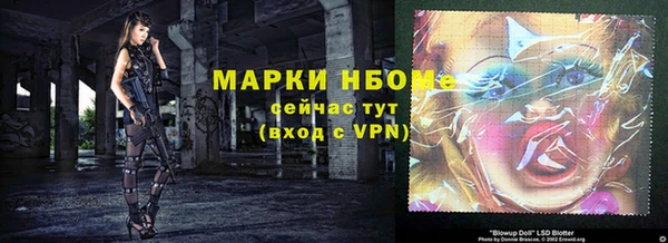 бошки Туринск