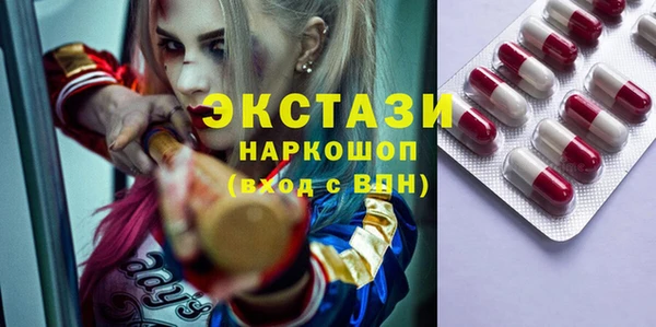 индика Богородицк