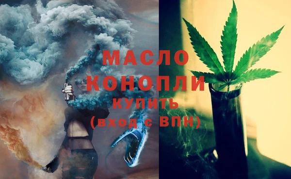 дмт Богданович