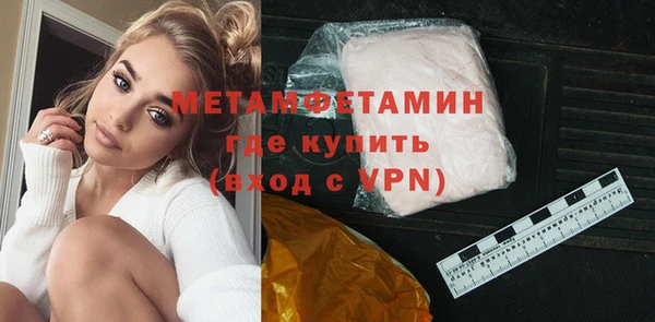 индика Богородицк