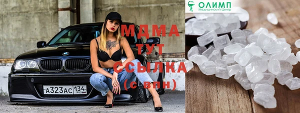 дмт Богданович