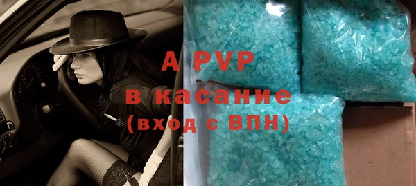 дмт Богданович