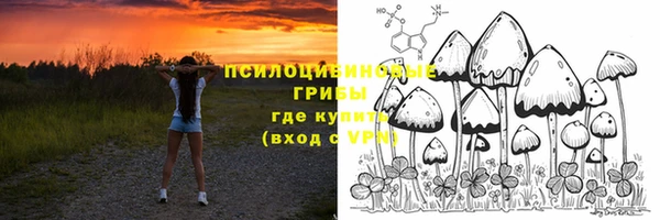 MDMA Premium VHQ Богородск